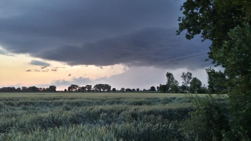 Agriturismo Boschi Reggiolo Buitenkant foto