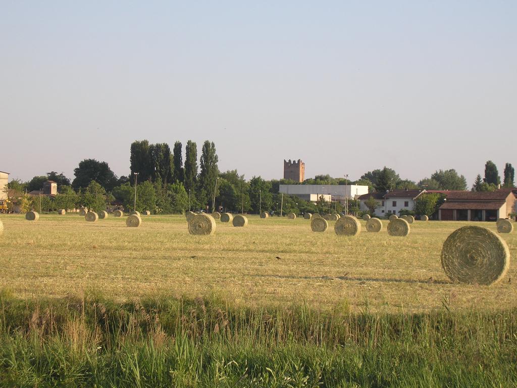Agriturismo Boschi Reggiolo Buitenkant foto