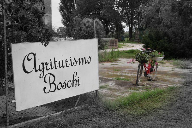 Agriturismo Boschi Reggiolo Buitenkant foto