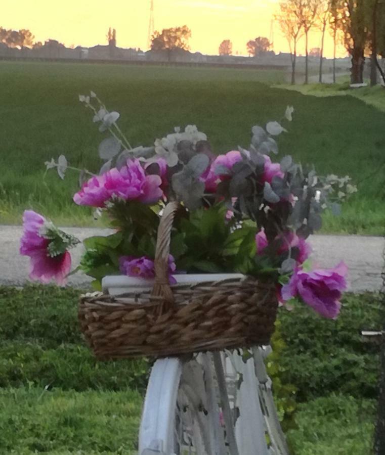 Agriturismo Boschi Reggiolo Buitenkant foto